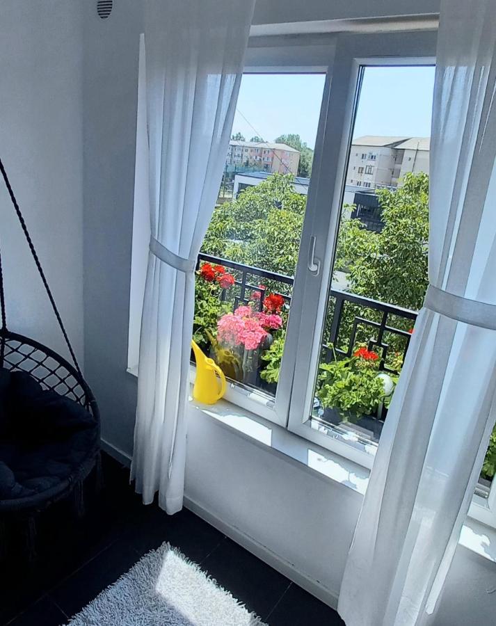 33 Coquette Apartment Baia Mare Exteriör bild